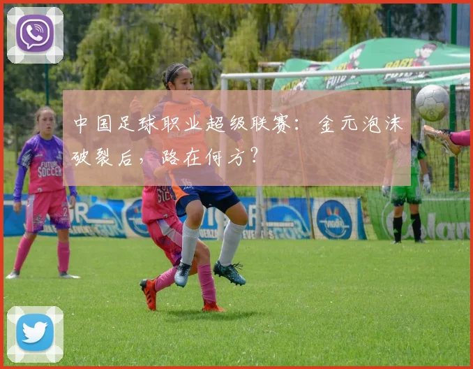 中国足球职业超级联赛:金元泡沫破裂后,路在何方?